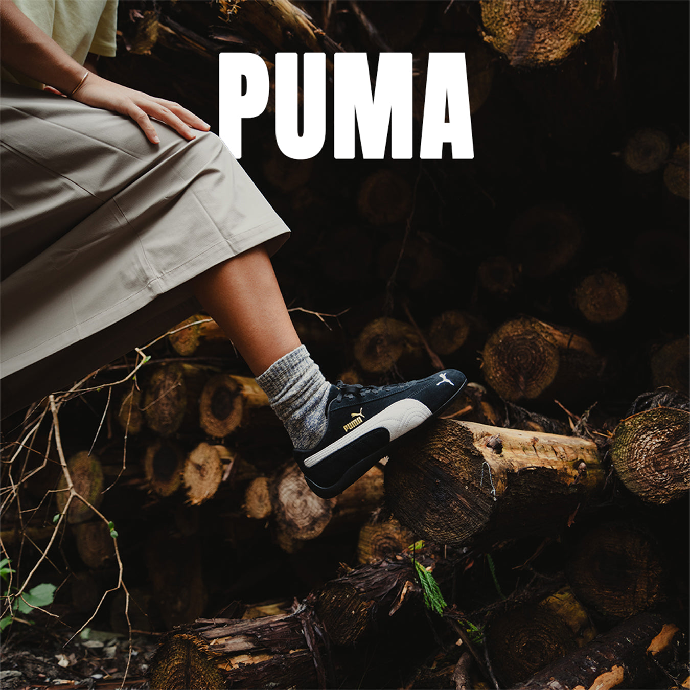 Puma l'histoire de l'emblématique félin