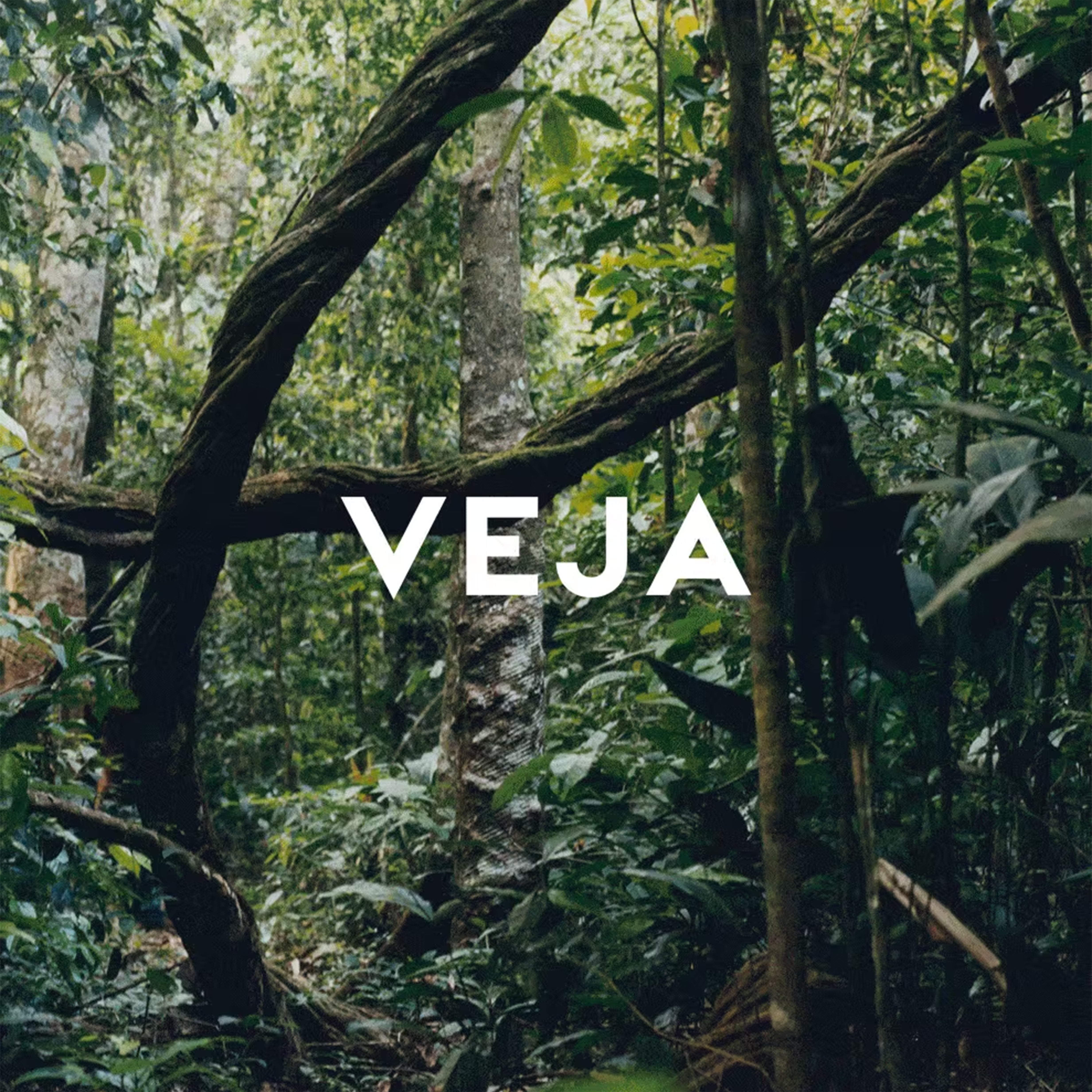 Veja
