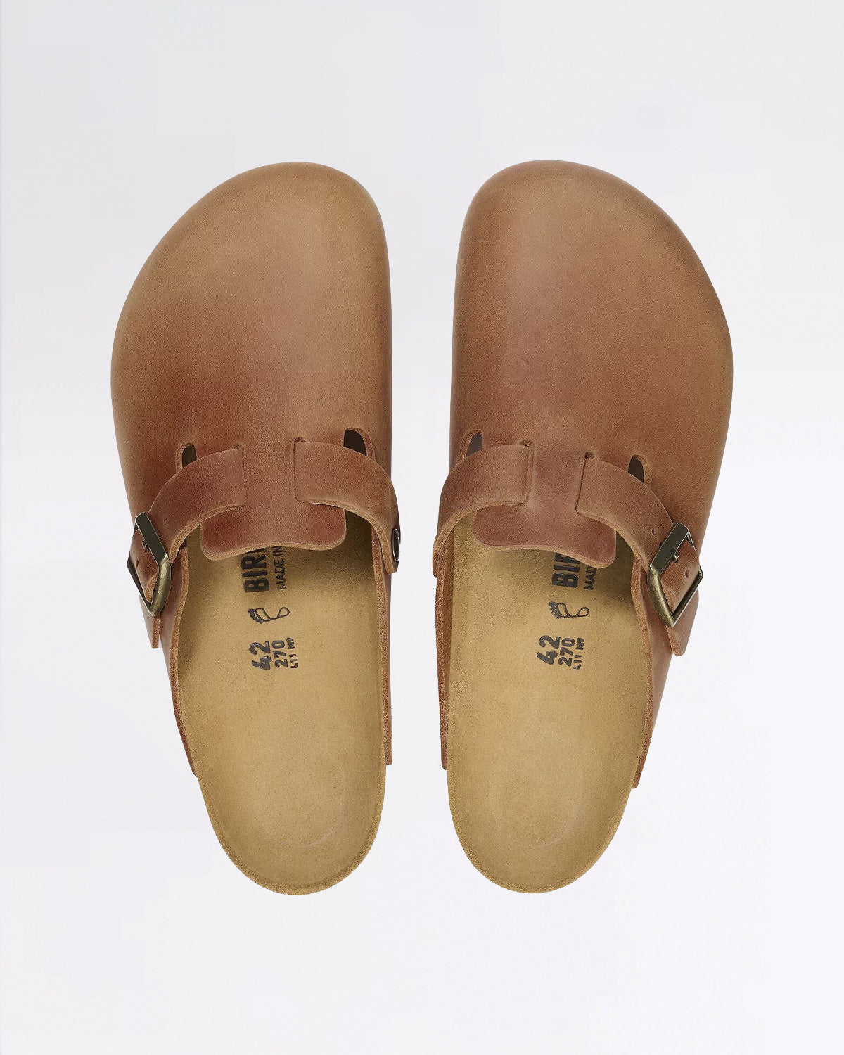 BOSTON LEOI COGNAC
