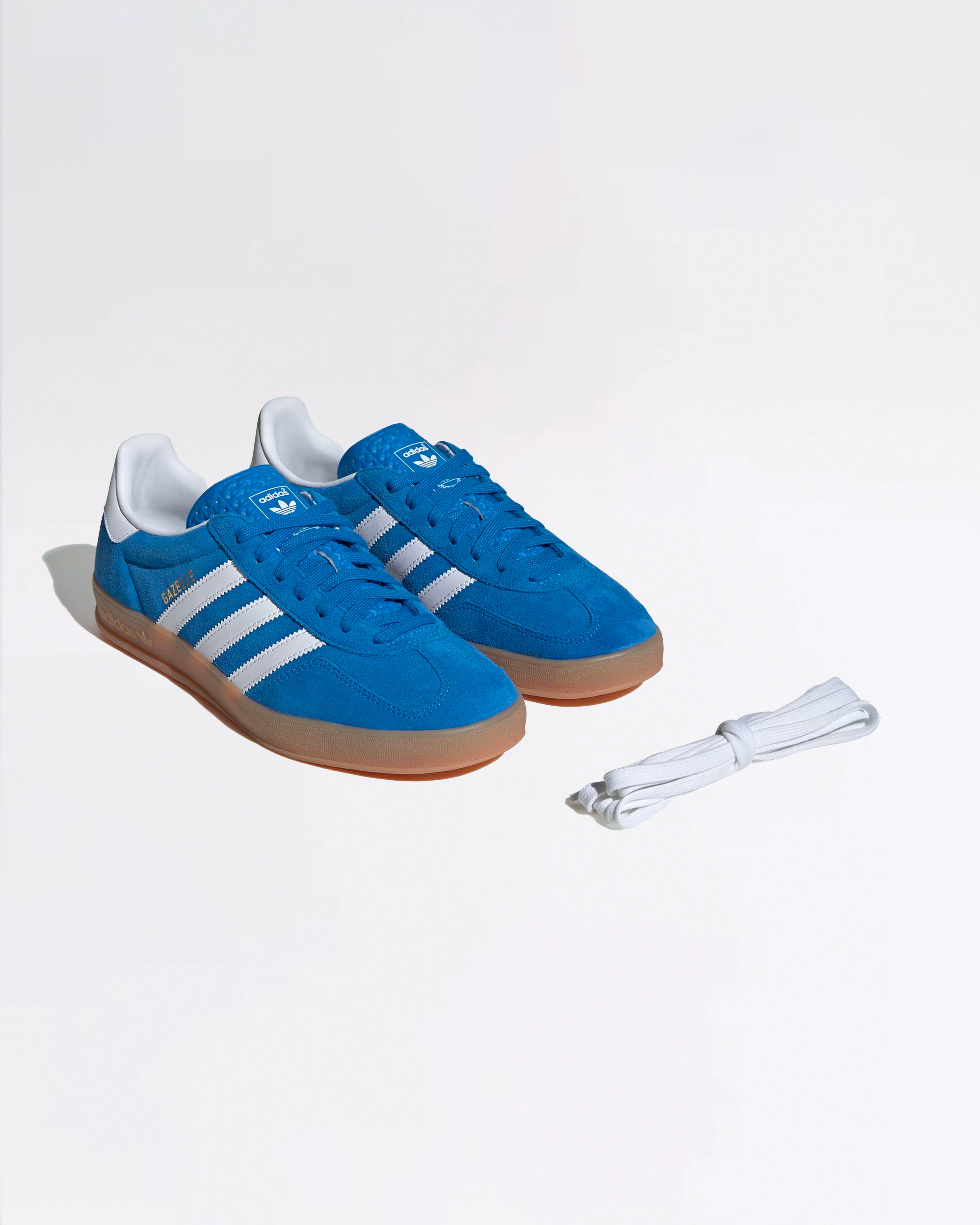 GAZELLE INDOOR BLUE BIRD JI2061